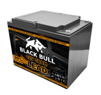 Blackbull 72V 60AH Akku Zyklenfest (6 Stk.)