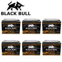 Blackbull 72V 60AH Akku Zyklenfest (6 Stk.)