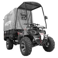 CARGO Transporter 3KW 52AH EEC