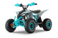 Replay Sport 1200W 48V 6" Snowy Tire XL