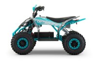 Replay Sport 1200W 48V 6" Snowy Tire XL