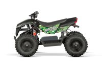 Anaconda VX 1000W 36V12Ah Lithium Brushless