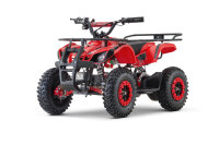 Torino Sport 48V 1200Watt 6" Snowy Tire L