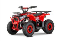 Kinder E-QUAD NERINO 1200W 48V mit BTF2 Reifen