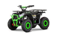 Kinder E-QUAD NERINO 1200W 48V mit BTF2 Reifen