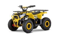 Kinder E-QUAD NERINO 1200W 48V mit BTF2 Reifen