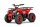 Kinder E-QUAD NERINO 1200W 48V mit BTF2 Reifen