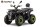 Dustrider 6KW Peak 72V 40Ah Elektro Quad 10" Prime